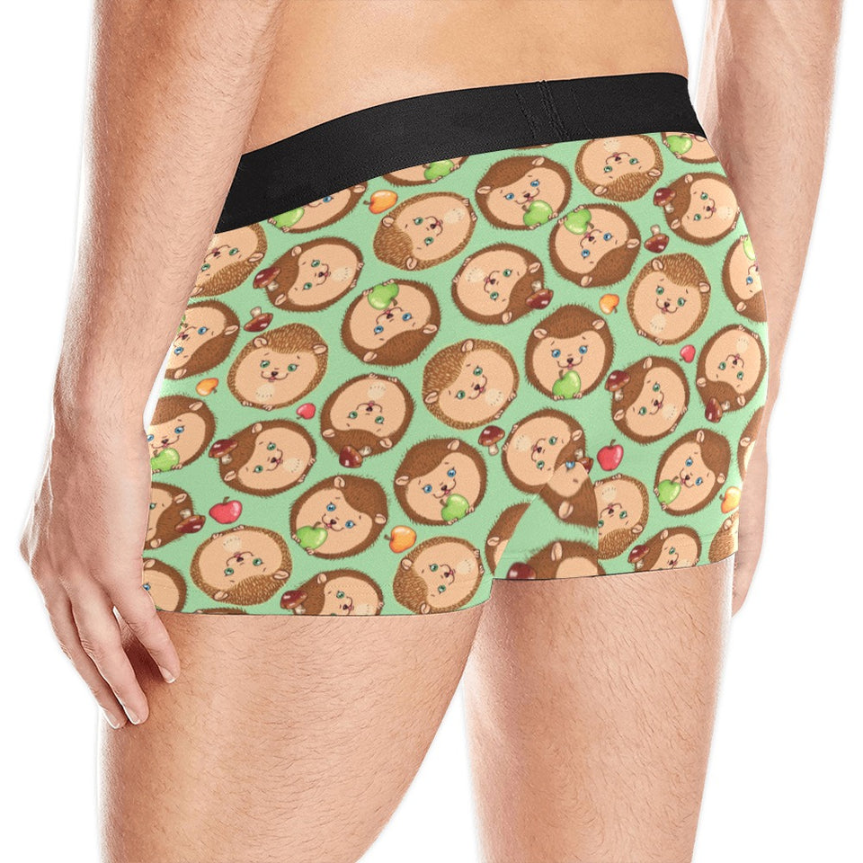 Hedgehog Pattern Print Design 01 Men's All Over Print Boxer Briefs Men's Underwear