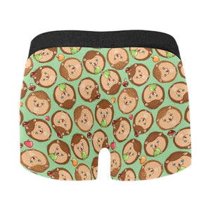 Hedgehog Pattern Print Design 01 Men's All Over Print Boxer Briefs Men's Underwear