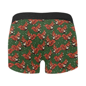 Squirrel Pattern Print Design 03 Men's All Over Print Boxer Briefs Men's Underwear