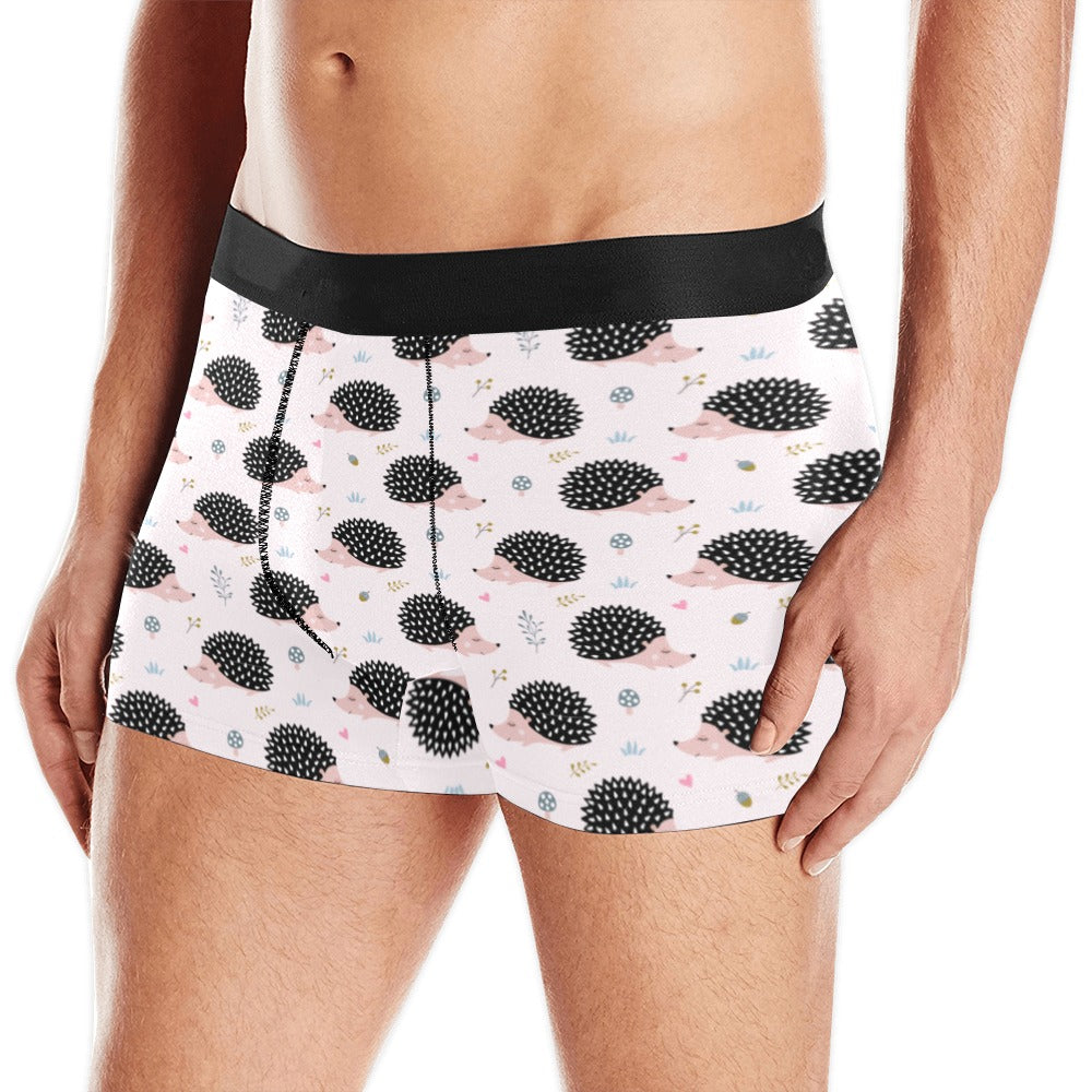 Hedgehog Pattern Print Design 04 Men's All Over Print Boxer Briefs Men's Underwear