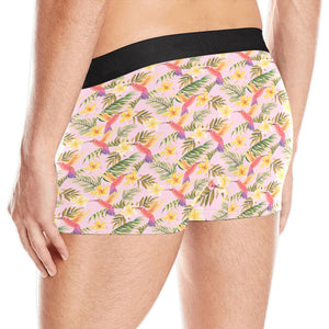 Hummingbird Pattern Print Design 03 Men's All Over Print Boxer Briefs Men's Underwear